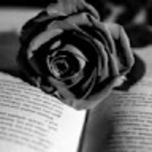 Meet your Posher, Jinx